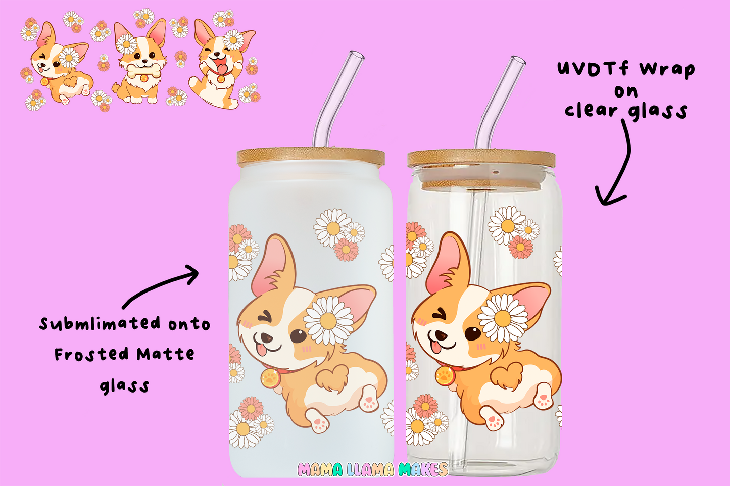 Corgi can glass