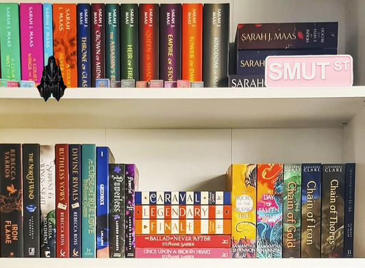 Book lover's bookshelf sign